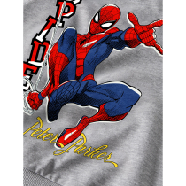 NAME IT Sweatshirt Olindo Spider-Man Grey Melange